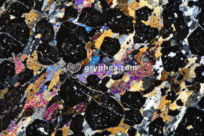 Eclogite LPA x3,5 - gryphea.org